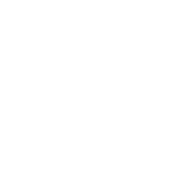 MoneyGram